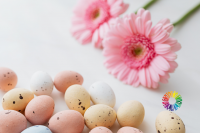 Sretan Uskrs želi Vam CZM!